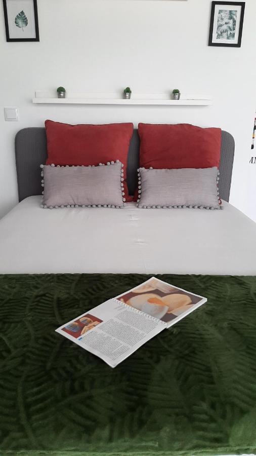 Love' In Aveiro Apartments - Blanc Exteriér fotografie